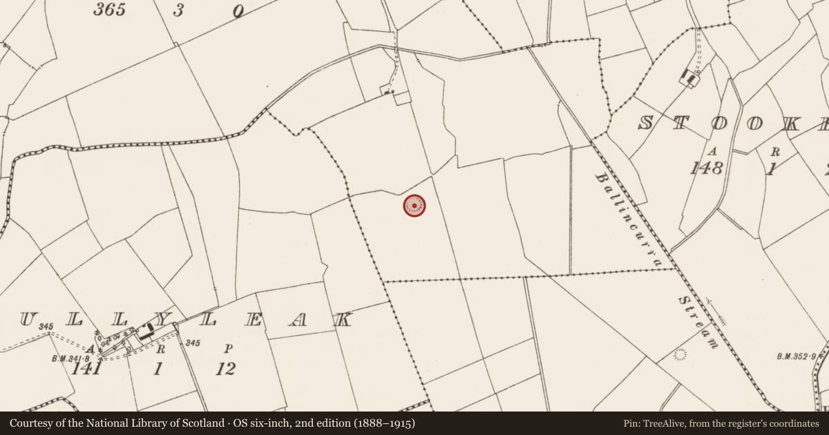 Ordnance Survey six-inch map, 2nd edition (1888–1915) covering the location of Earthwork, Fantstown, County Limerick, with a pin at the register's coordinates
