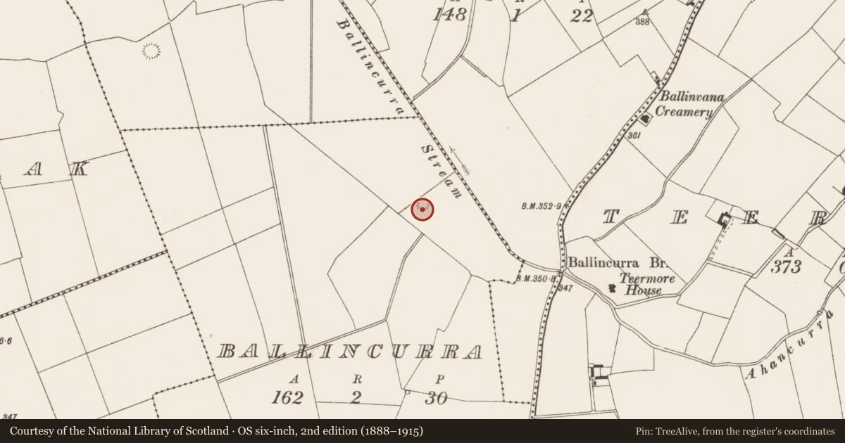 Ordnance Survey six-inch map, 2nd edition (1888–1915) covering the location of Earthwork, Ballincurra, County Limerick, with a pin at the register's coordinates