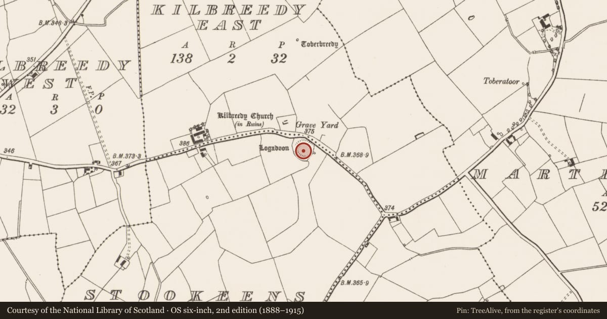 Ordnance Survey six-inch map, 2nd edition (1888–1915) covering the location of Ringfort - rath, Stookeens, County Limerick, with a pin at the register's coordinates