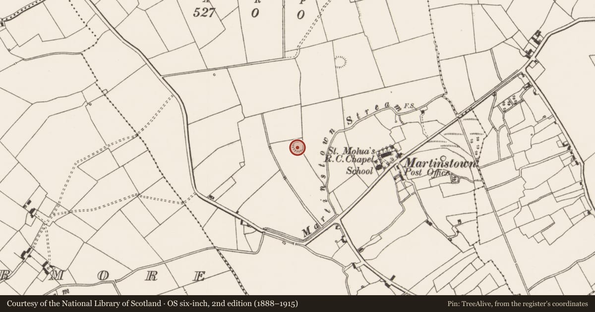 Ordnance Survey six-inch map, 2nd edition (1888–1915) covering the location of Ringfort - rath, Martinstown, County Limerick, with a pin at the register's coordinates