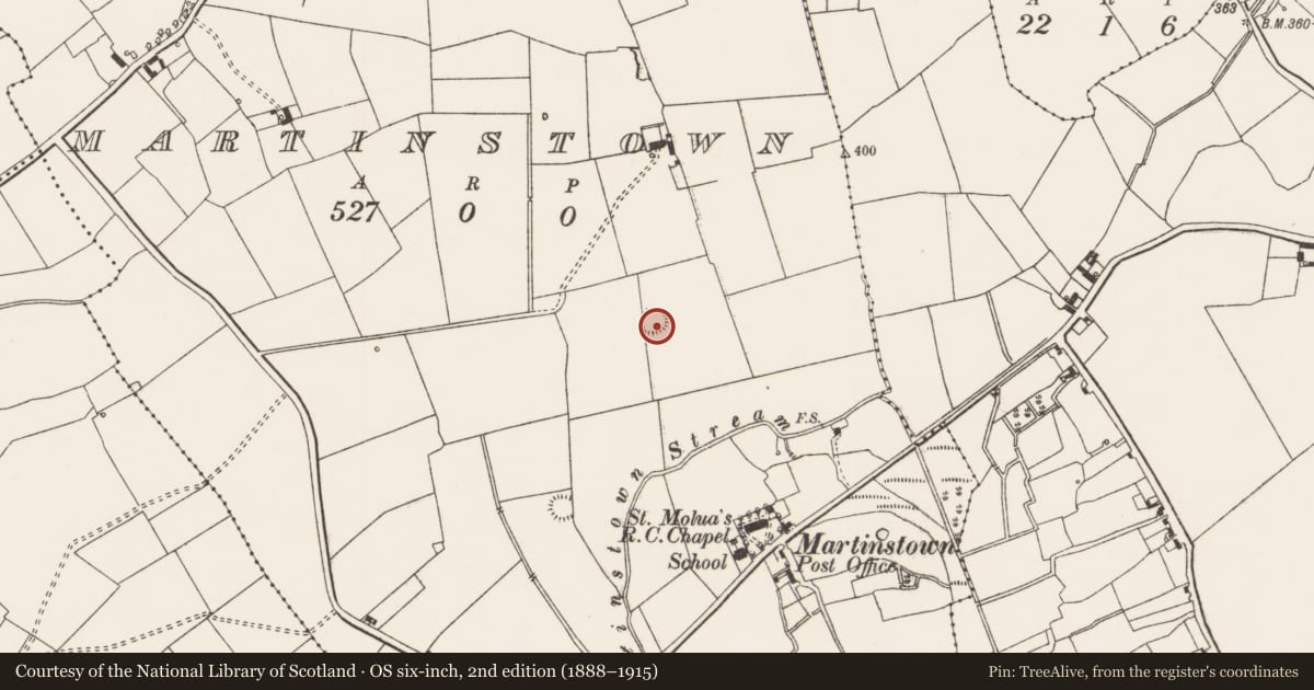 Ordnance Survey six-inch map, 2nd edition (1888–1915) covering the location of Enclosure, Martinstown, County Limerick, with a pin at the register's coordinates