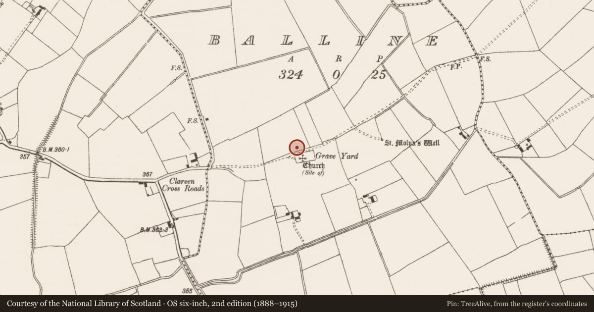 Ordnance Survey six-inch map, 2nd edition (1888–1915) covering the location of Cist, Balline, County Limerick, with a pin at the register's coordinates