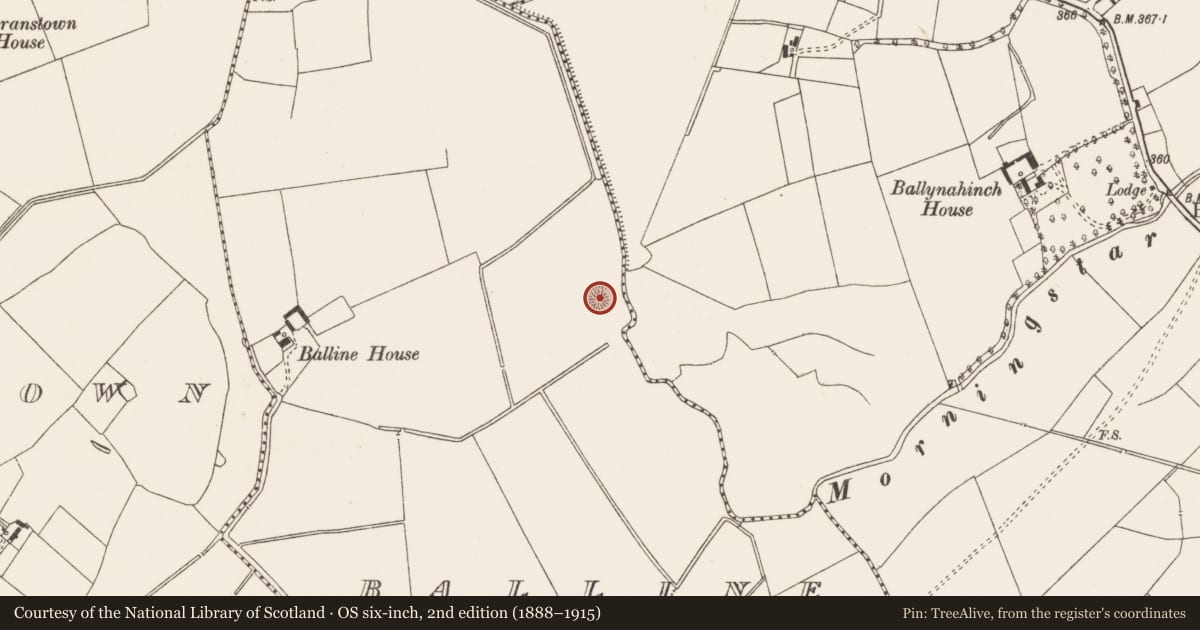 Ordnance Survey six-inch map, 2nd edition (1888–1915) covering the location of Ringfort - rath, Balline, County Limerick, with a pin at the register's coordinates