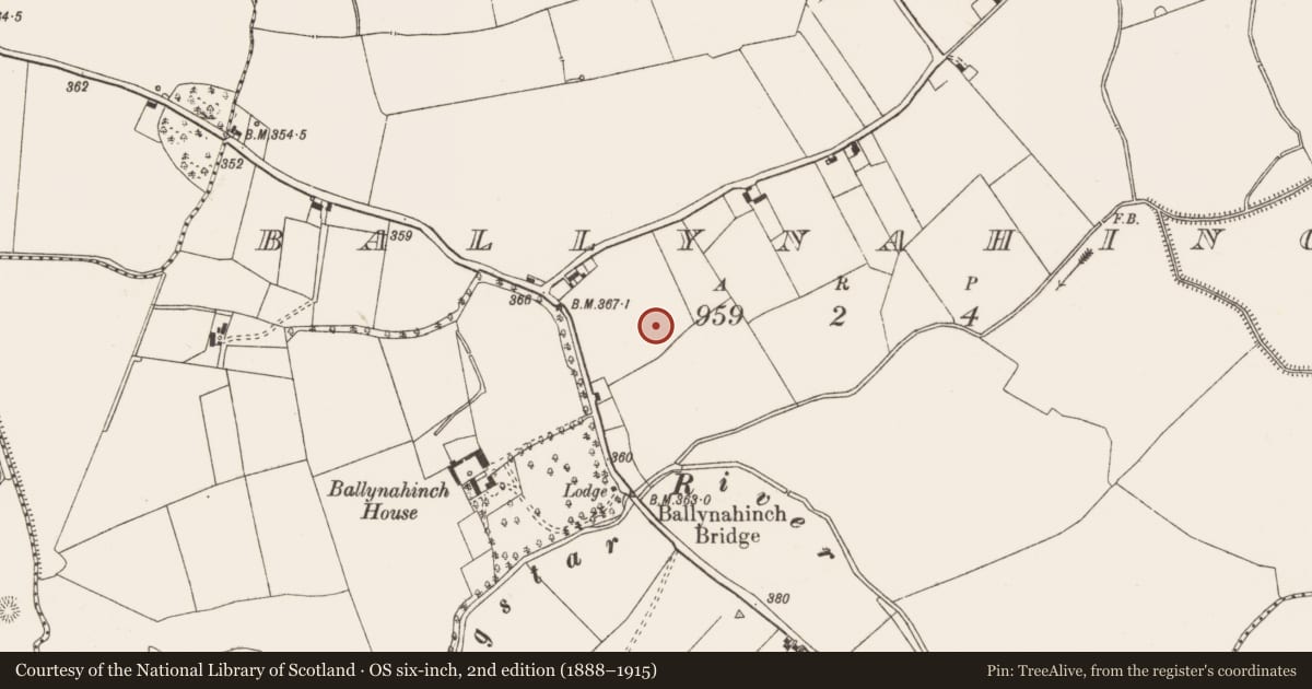 Ordnance Survey six-inch map, 2nd edition (1888–1915) covering the location of Moated site, Ballynahinch, County Limerick, with a pin at the register's coordinates