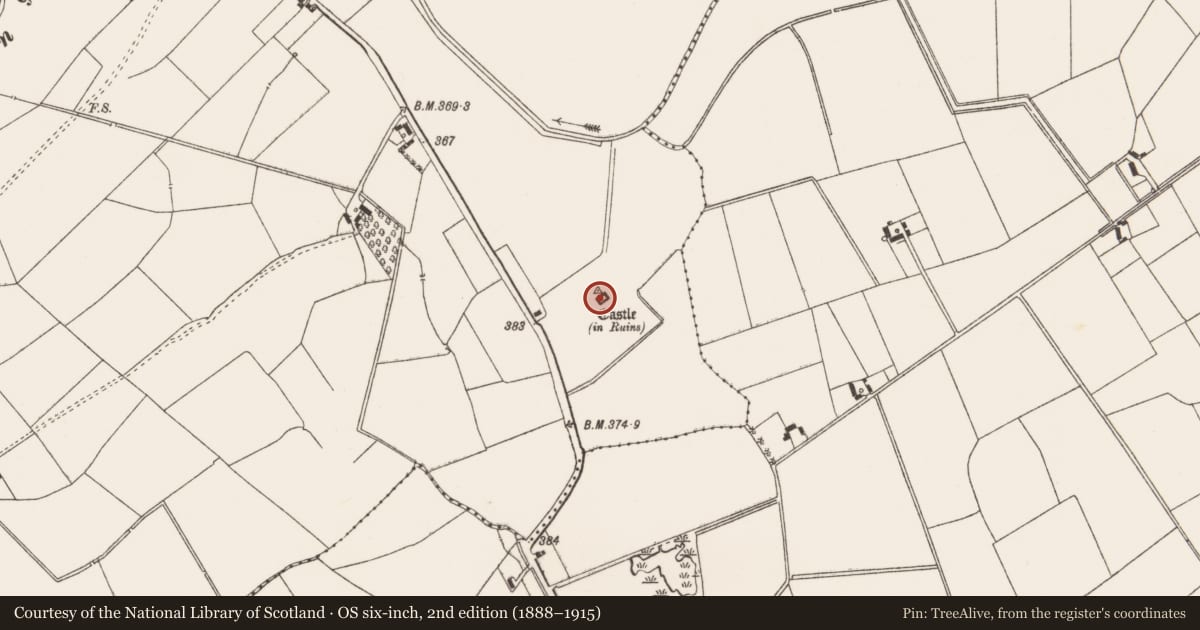 Ordnance Survey six-inch map, 2nd edition (1888–1915) covering the location of Castle - tower house, Ballynahinch, County Limerick, with a pin at the register's coordinates