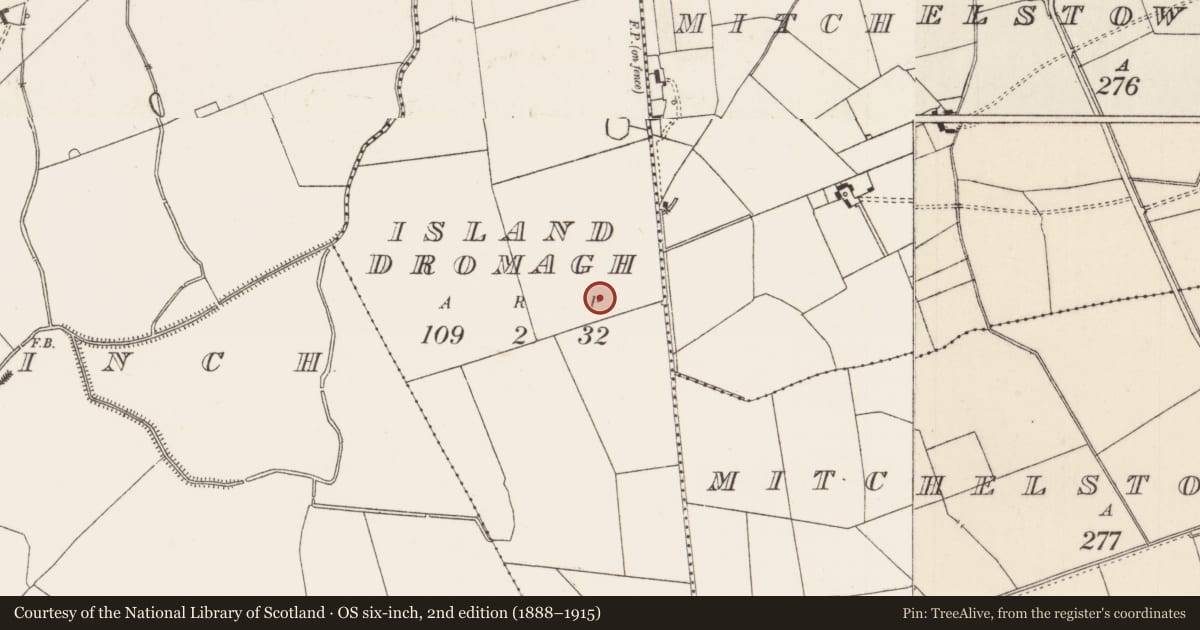 Ordnance Survey six-inch map, 2nd edition (1888–1915) covering the location of Barrow - unclassified, Island Dromagh, County Limerick, with a pin at the register's coordinates