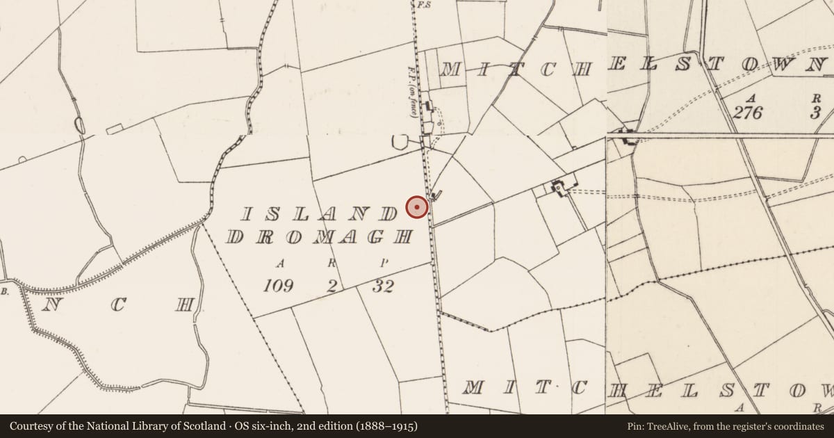 Ordnance Survey six-inch map, 2nd edition (1888–1915) covering the location of Earthwork, Island Dromagh, County Limerick, with a pin at the register's coordinates
