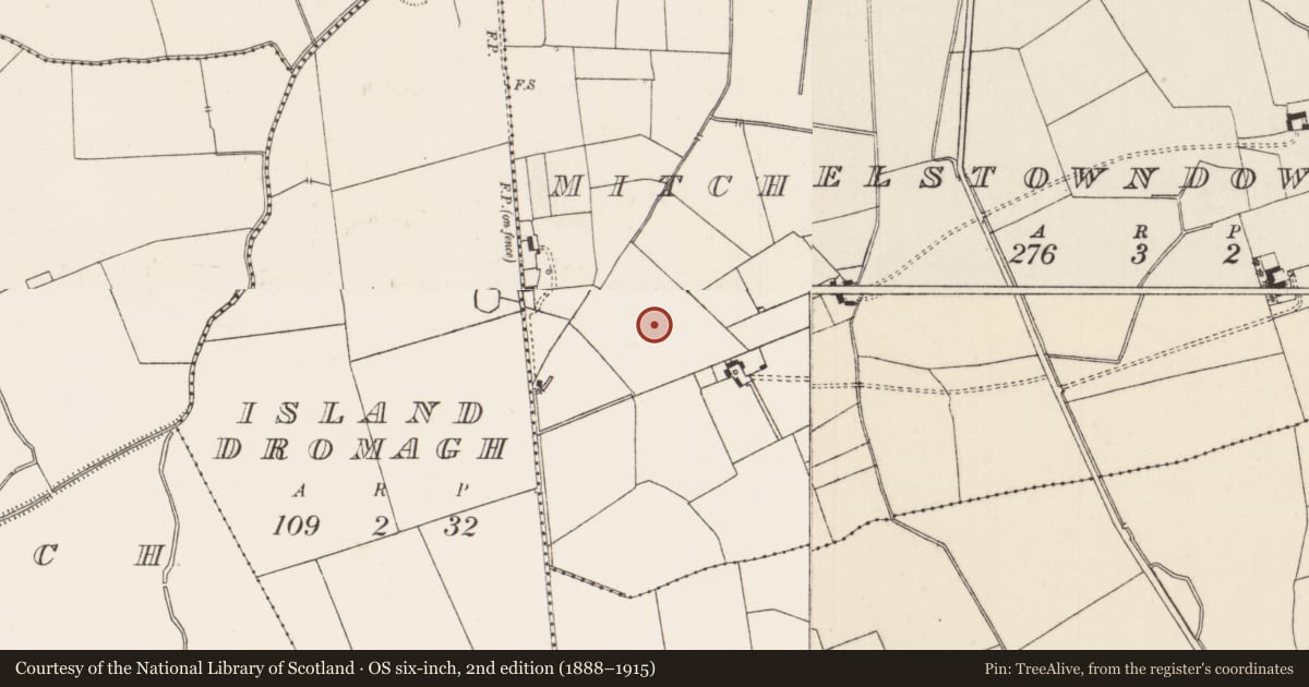 Ordnance Survey six-inch map, 2nd edition (1888–1915) covering the location of Barrow - unclassified, Mitchelstowndown North, County Limerick, with a pin at the register's coordinates