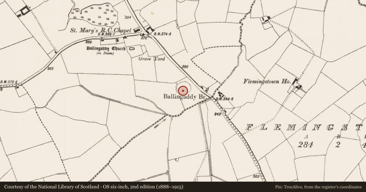 Ordnance Survey six-inch map, 2nd edition (1888–1915) covering the location of Ringfort - rath, Ballingaddy North, County Limerick, with a pin at the register's coordinates