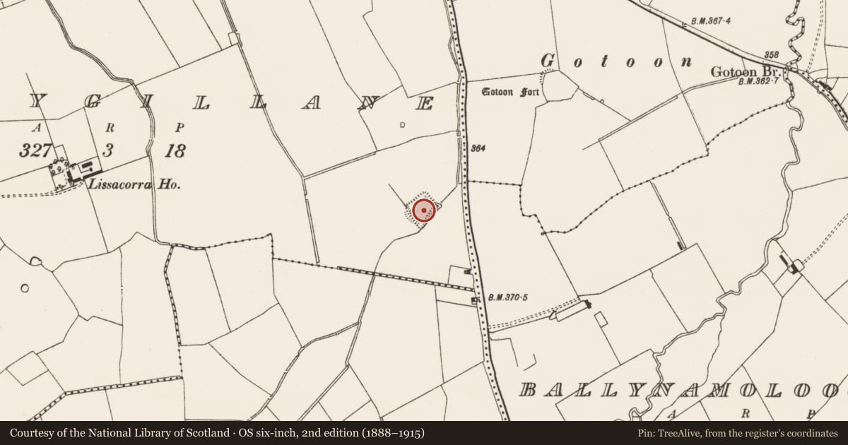 Ordnance Survey six-inch map, 2nd edition (1888–1915) covering the location of Moated site, Ballygillane, County Limerick, with a pin at the register's coordinates
