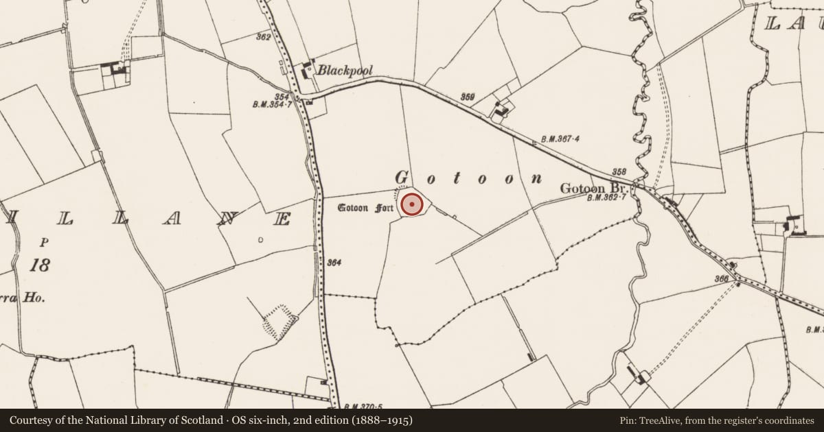 Ordnance Survey six-inch map, 2nd edition (1888–1915) covering the location of Ringfort - rath, Flemingstown, County Limerick, with a pin at the register's coordinates
