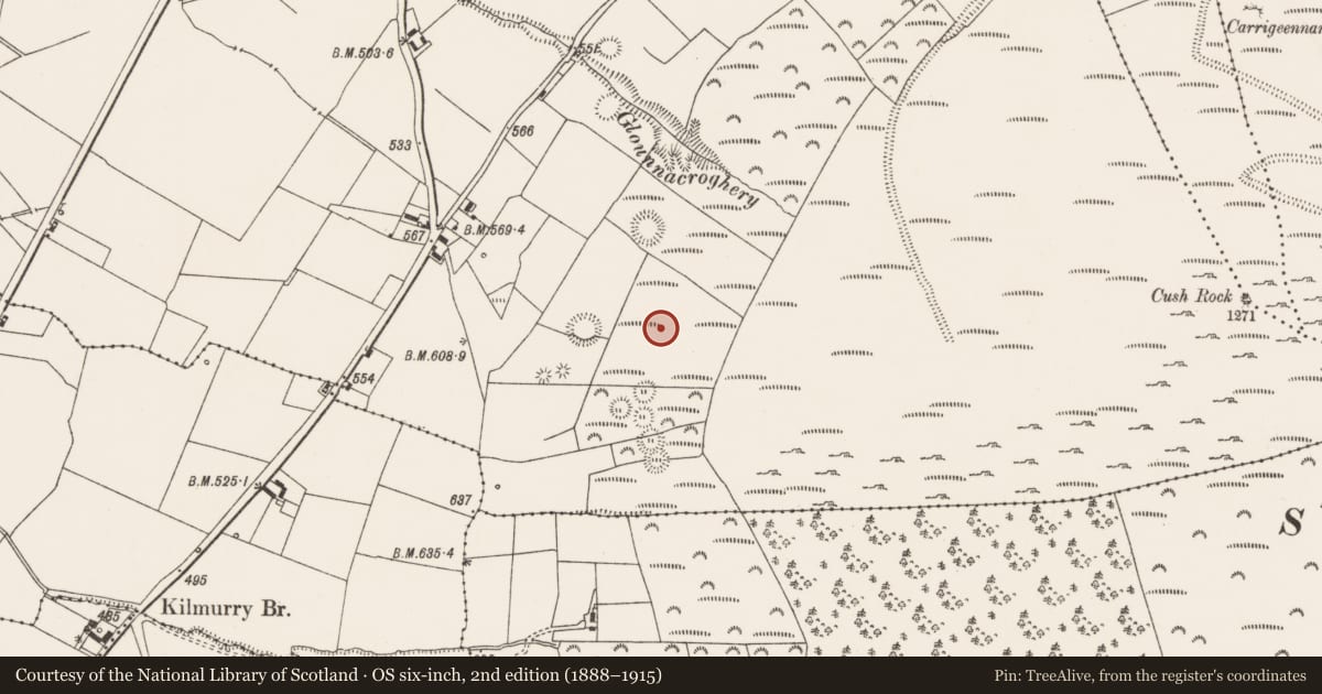 Ordnance Survey six-inch map, 2nd edition (1888–1915) covering the location of Field system, Cush, County Limerick, with a pin at the register's coordinates