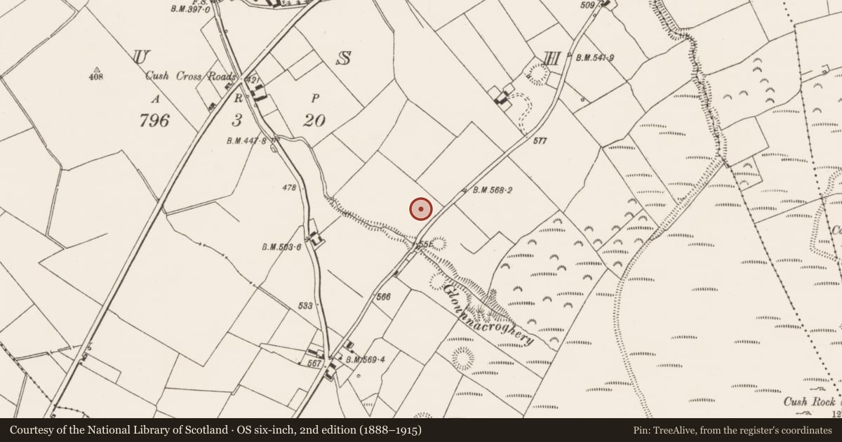 Ordnance Survey six-inch map, 2nd edition (1888–1915) covering the location of Earthwork, Cush, County Limerick, with a pin at the register's coordinates