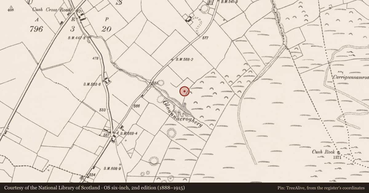 Ordnance Survey six-inch map, 2nd edition (1888–1915) covering the location of Earthwork, Cush, County Limerick, with a pin at the register's coordinates