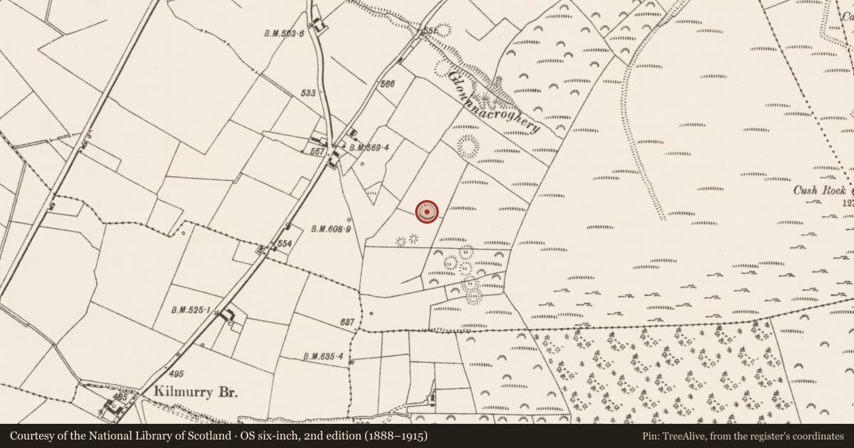 Ordnance Survey six-inch map, 2nd edition (1888–1915) covering the location of Ringfort - rath, Cush, County Limerick, with a pin at the register's coordinates