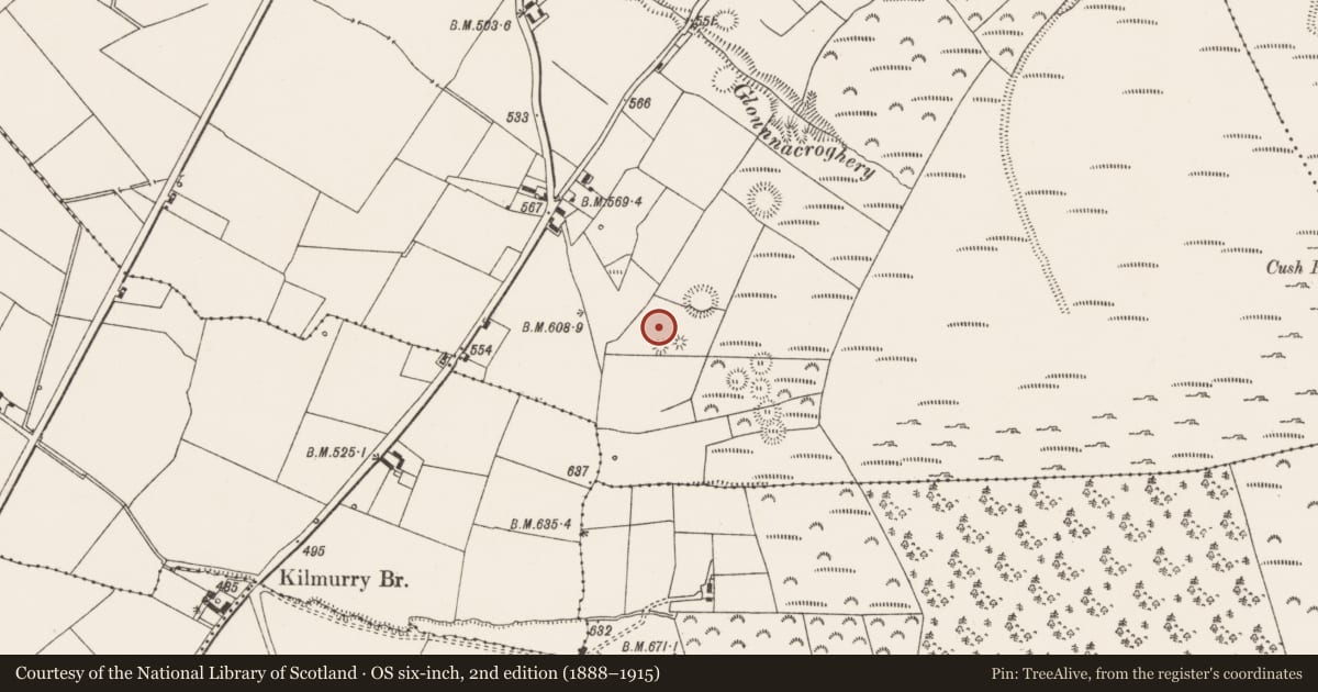 Ordnance Survey six-inch map, 2nd edition (1888–1915) covering the location of Quarry, Cush, County Limerick, with a pin at the register's coordinates