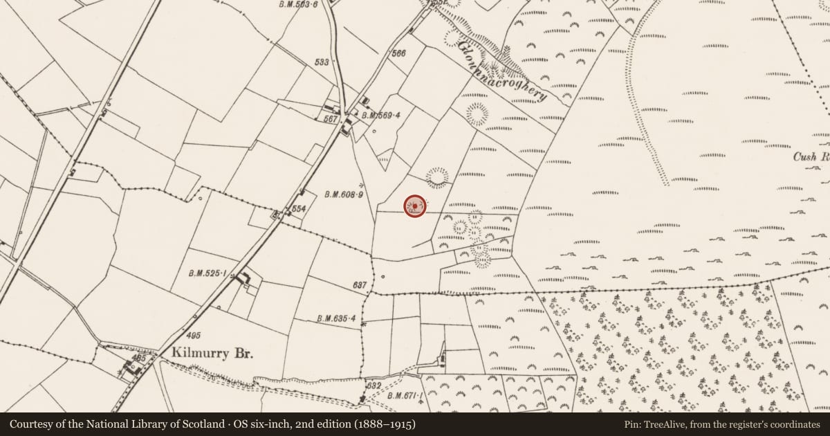 Ordnance Survey six-inch map, 2nd edition (1888–1915) covering the location of Barrow - bowl-barrow, Cush, County Limerick, with a pin at the register's coordinates