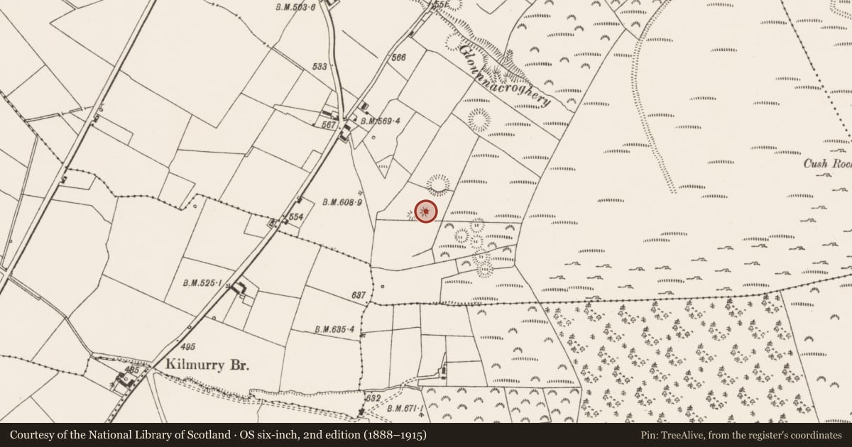 Ordnance Survey six-inch map, 2nd edition (1888–1915) covering the location of Barrow - bowl-barrow, Cush, County Limerick, with a pin at the register's coordinates