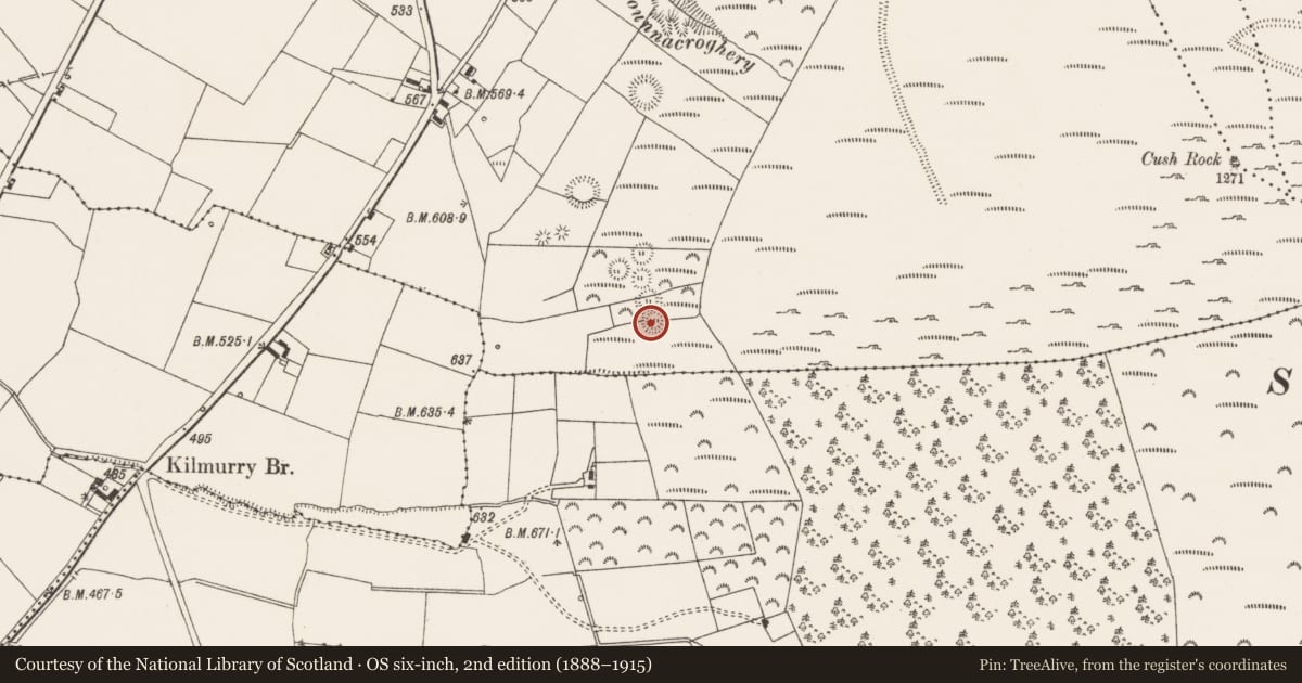 Ordnance Survey six-inch map, 2nd edition (1888–1915) covering the location of Urn burial, Cush, County Limerick, with a pin at the register's coordinates