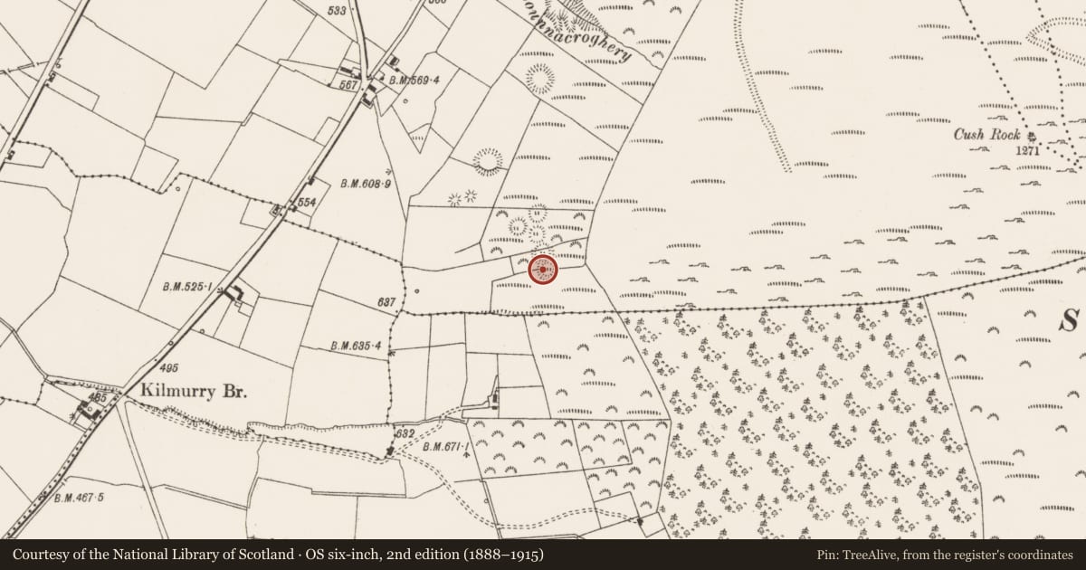 Ordnance Survey six-inch map, 2nd edition (1888–1915) covering the location of Urn burial, Cush, County Limerick, with a pin at the register's coordinates
