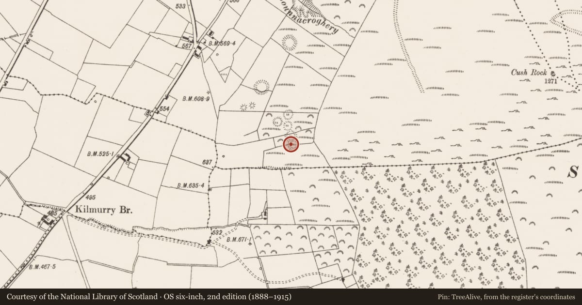 Ordnance Survey six-inch map, 2nd edition (1888–1915) covering the location of Cremated remains, Cush, County Limerick, with a pin at the register's coordinates