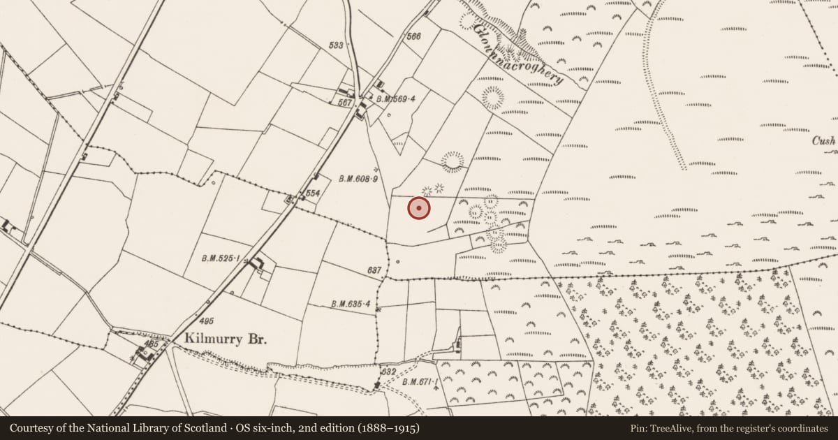 Ordnance Survey six-inch map, 2nd edition (1888–1915) covering the location of House - early medieval, Cush, County Limerick, with a pin at the register's coordinates