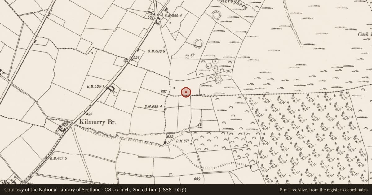Ordnance Survey six-inch map, 2nd edition (1888–1915) covering the location of Earthwork, Cush, County Limerick, with a pin at the register's coordinates