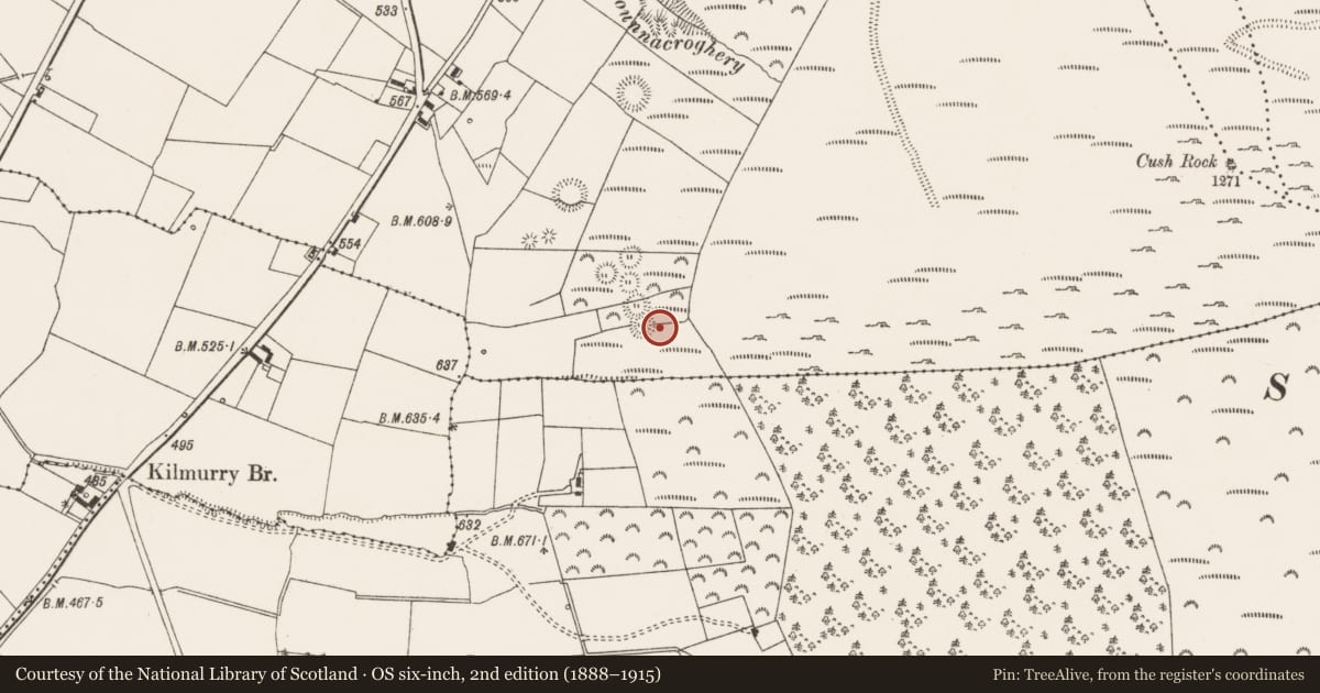 Ordnance Survey six-inch map, 2nd edition (1888–1915) covering the location of Standing stone, Cush, County Limerick, with a pin at the register's coordinates