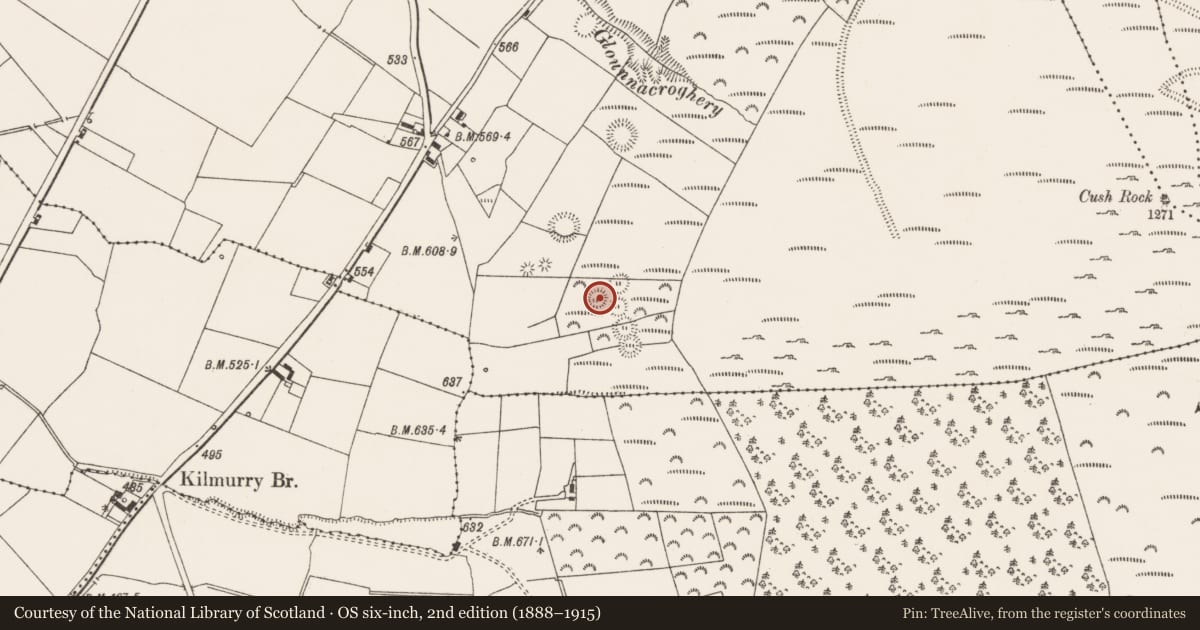 Ordnance Survey six-inch map, 2nd edition (1888–1915) covering the location of Ringfort - rath, Cush, County Limerick, with a pin at the register's coordinates
