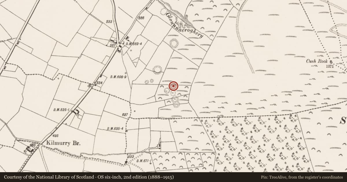 Ordnance Survey six-inch map, 2nd edition (1888–1915) covering the location of Ringfort - rath, Cush, County Limerick, with a pin at the register's coordinates