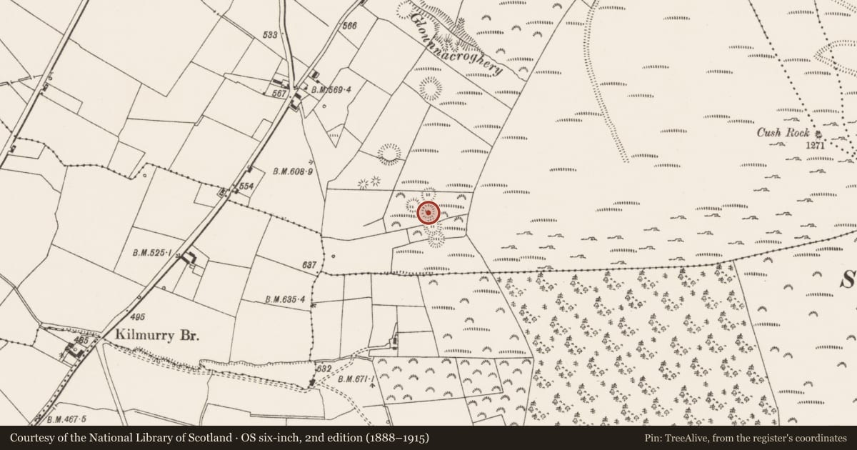 Ordnance Survey six-inch map, 2nd edition (1888–1915) covering the location of Ringfort - rath, Cush, County Limerick, with a pin at the register's coordinates