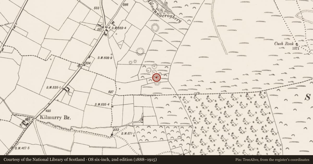 Ordnance Survey six-inch map, 2nd edition (1888–1915) covering the location of Ringfort - rath, Cush, County Limerick, with a pin at the register's coordinates