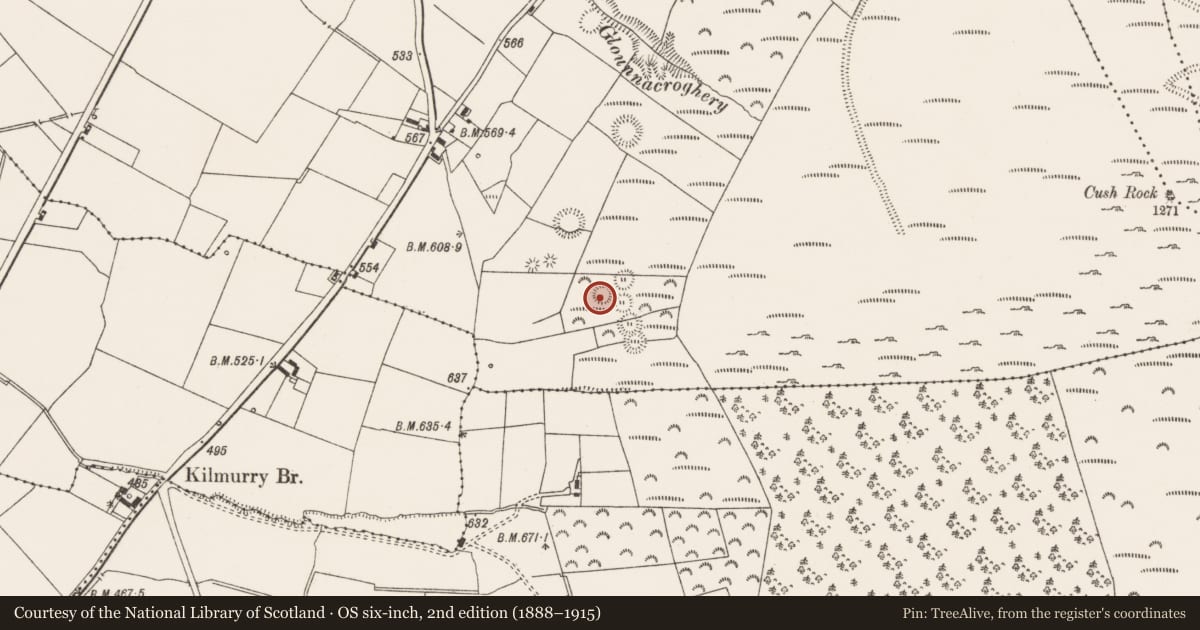 Ordnance Survey six-inch map, 2nd edition (1888–1915) covering the location of Souterrain, Cush, County Limerick, with a pin at the register's coordinates