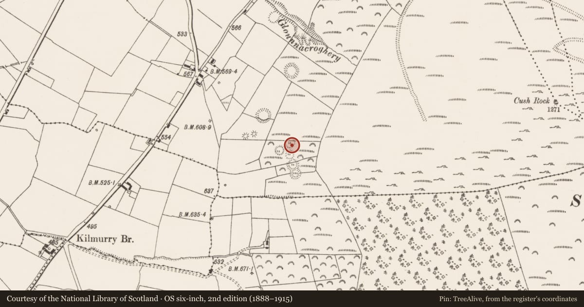 Ordnance Survey six-inch map, 2nd edition (1888–1915) covering the location of Souterrain, Cush, County Limerick, with a pin at the register's coordinates