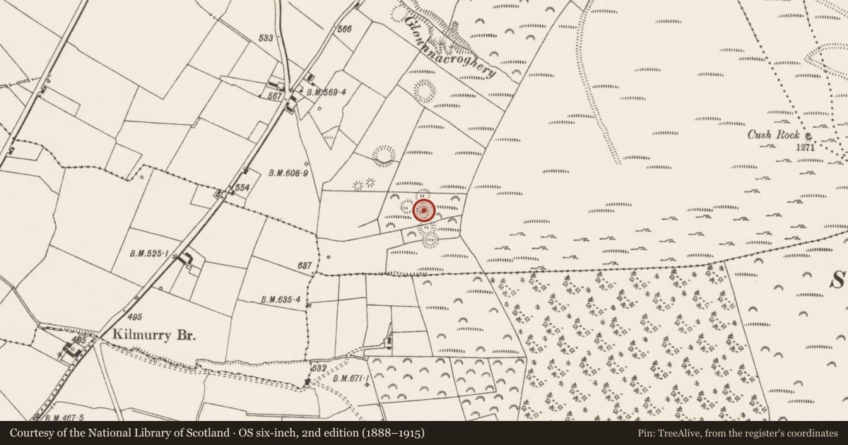 Ordnance Survey six-inch map, 2nd edition (1888–1915) covering the location of Souterrain, Cush, County Limerick, with a pin at the register's coordinates
