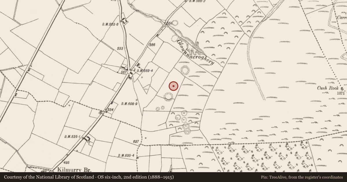 Ordnance Survey six-inch map, 2nd edition (1888–1915) covering the location of Souterrain, Cush, County Limerick, with a pin at the register's coordinates