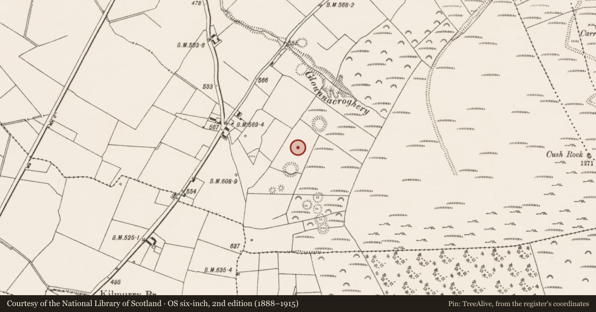 Ordnance Survey six-inch map, 2nd edition (1888–1915) covering the location of Souterrain, Cush, County Limerick, with a pin at the register's coordinates