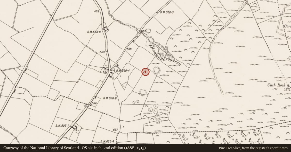 Ordnance Survey six-inch map, 2nd edition (1888–1915) covering the location of Souterrain, Cush, County Limerick, with a pin at the register's coordinates