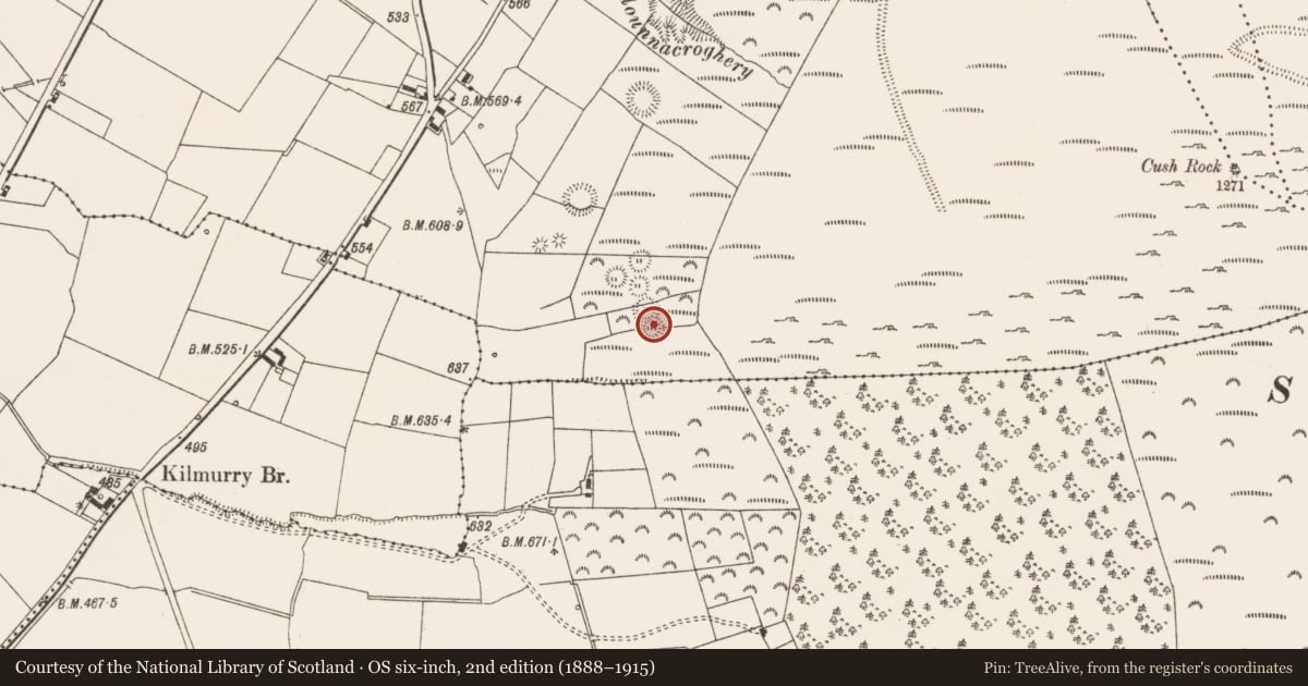 Ordnance Survey six-inch map, 2nd edition (1888–1915) covering the location of Souterrain, Cush, County Limerick, with a pin at the register's coordinates