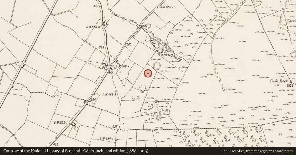Ordnance Survey six-inch map, 2nd edition (1888–1915) covering the location of Earthwork, Cush, County Limerick, with a pin at the register's coordinates