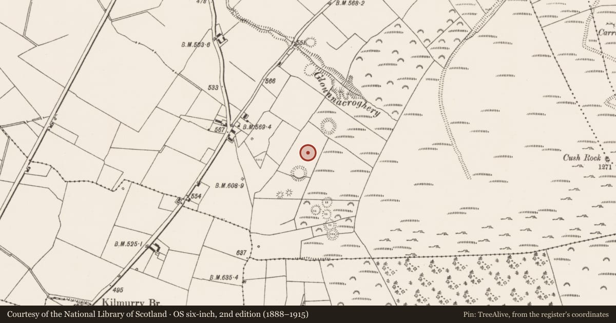 Ordnance Survey six-inch map, 2nd edition (1888–1915) covering the location of Ringfort - rath, Cush, County Limerick, with a pin at the register's coordinates