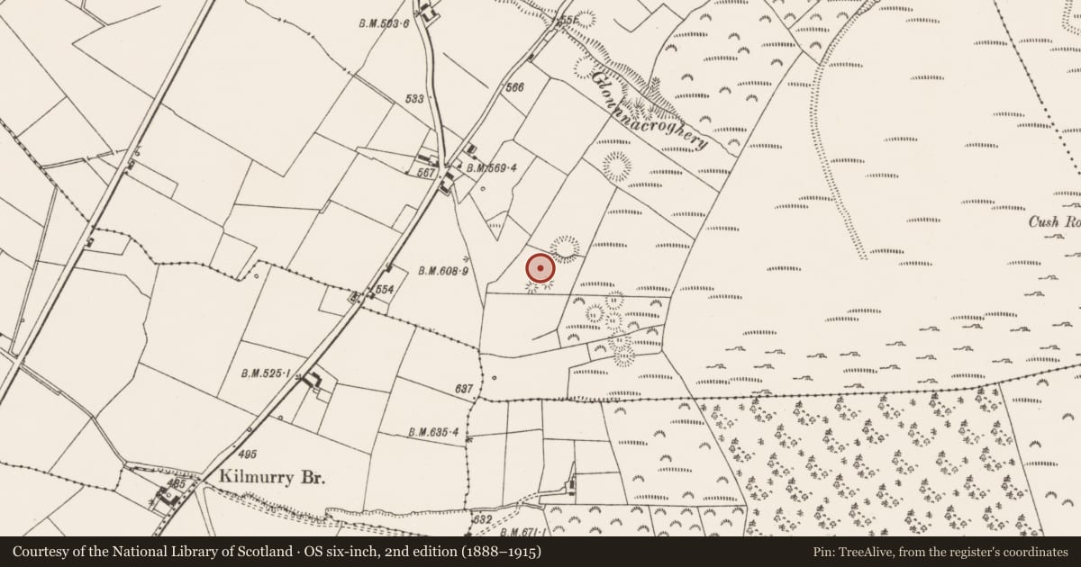 Ordnance Survey six-inch map, 2nd edition (1888–1915) covering the location of Urn burial, Cush, County Limerick, with a pin at the register's coordinates