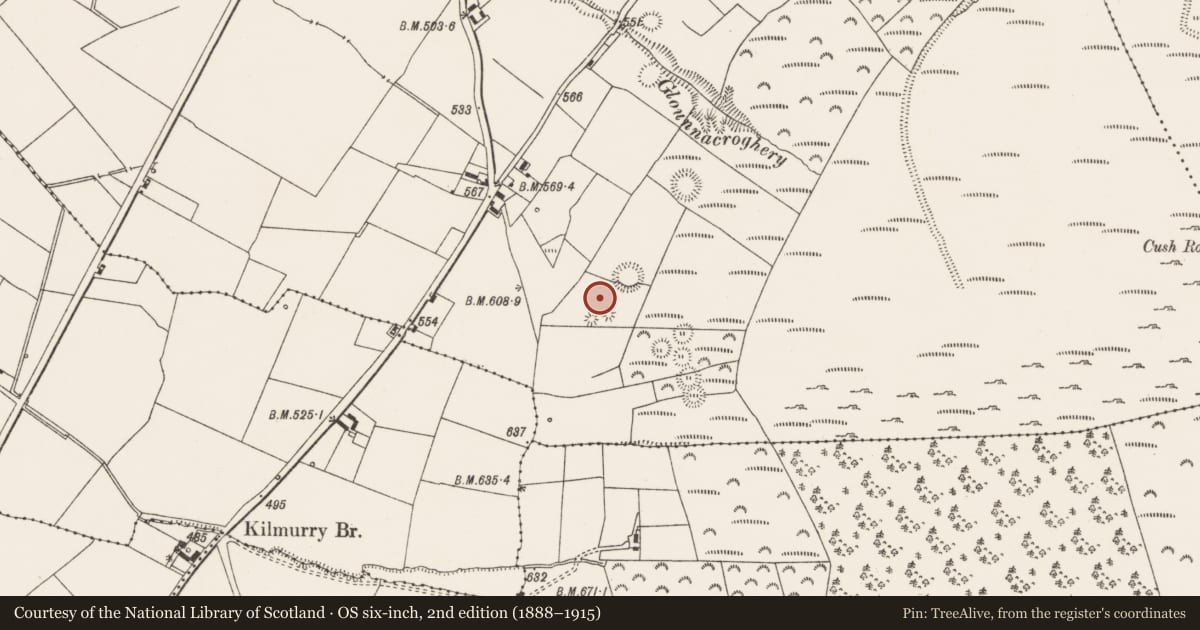 Ordnance Survey six-inch map, 2nd edition (1888–1915) covering the location of Cist, Cush, County Limerick, with a pin at the register's coordinates