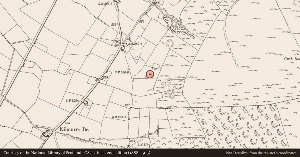 Ordnance Survey six-inch map, 2nd edition (1888–1915) covering the location of Cremated remains, Cush, County Limerick, with a pin at the register's coordinates