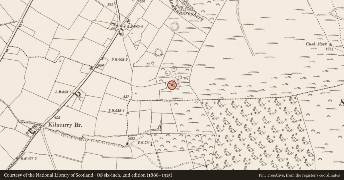 Ordnance Survey six-inch map, 2nd edition (1888–1915) covering the location of Ringfort - rath, Cush, County Limerick, with a pin at the register's coordinates