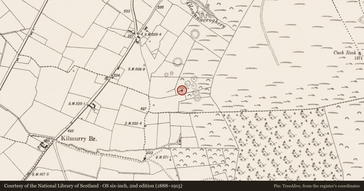 Ordnance Survey six-inch map, 2nd edition (1888–1915) covering the location of Enclosure, Cush, County Limerick, with a pin at the register's coordinates