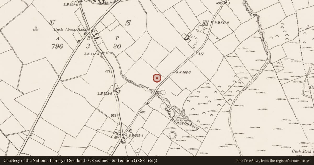 Ordnance Survey six-inch map, 2nd edition (1888–1915) covering the location of Souterrain, Cush, County Limerick, with a pin at the register's coordinates