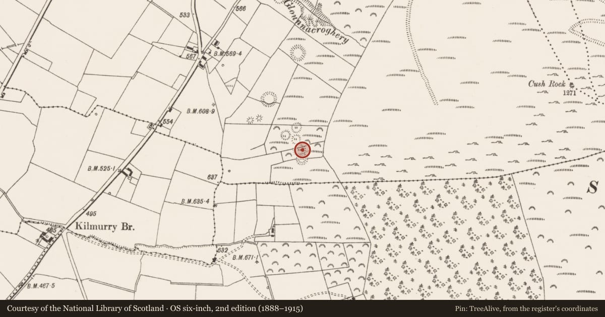 Ordnance Survey six-inch map, 2nd edition (1888–1915) covering the location of Souterrain, Cush, County Limerick, with a pin at the register's coordinates