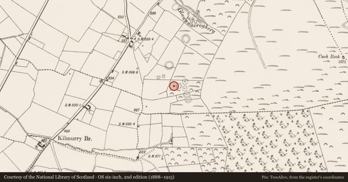 Ordnance Survey six-inch map, 2nd edition (1888–1915) covering the location of House - indeterminate date, Cush, County Limerick, with a pin at the register's coordinates