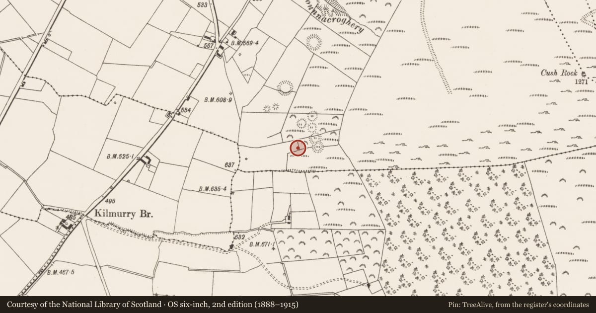Ordnance Survey six-inch map, 2nd edition (1888–1915) covering the location of House - indeterminate date, Cush, County Limerick, with a pin at the register's coordinates